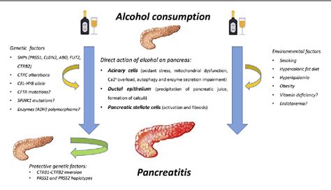 Pancreatită alcoolică + diabet